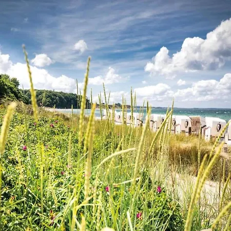 Sonnige Am Wald Buednerreihe *