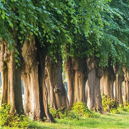 아파트 Sonnige Am Wald Buednerreihe Heiligenhagen