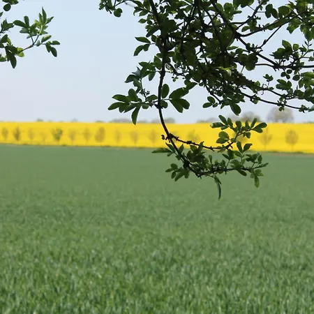 Sonnige Am Wald Buednerreihe * Heiligenhagen