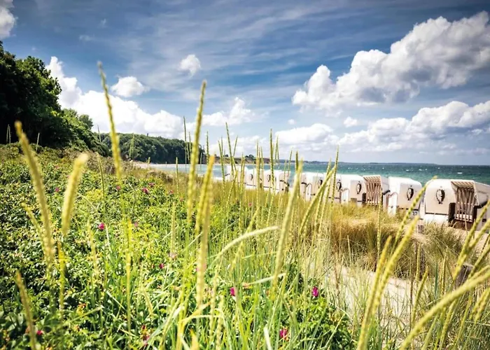 Sonnige Am Wald Buednerreihe *