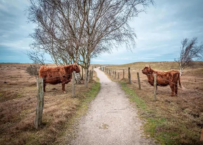 Sonnige Am Wald Buednerreihe *