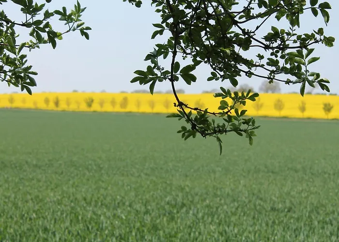 Sonnige Am Wald Buednerreihe * Heiligenhagen